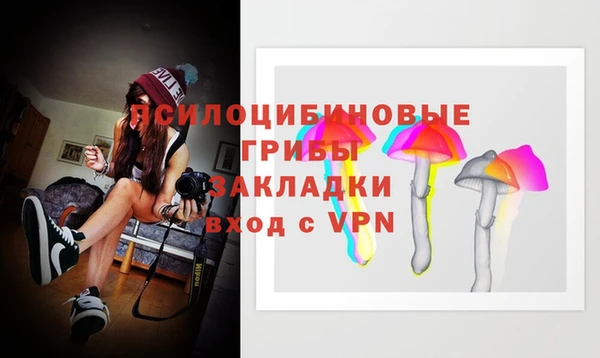 метадон Белокуриха