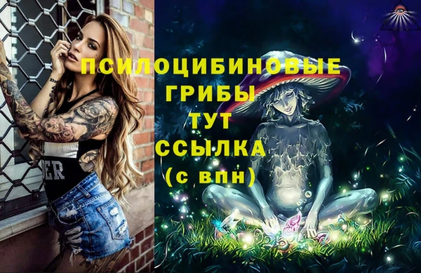 ПСИЛОЦИБИНОВЫЕ ГРИБЫ Беломорск